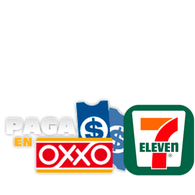 Pago en efectivo